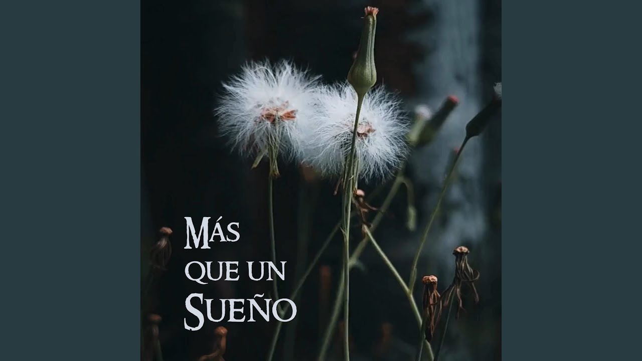 M&aacute;s que un sue&ntilde;o