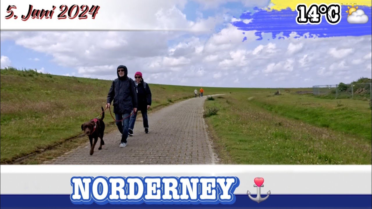 Norderney, Inselrundfahrt am Mittwoch Vormittag, Pamirweg und Hundewiese, Island life 2024
