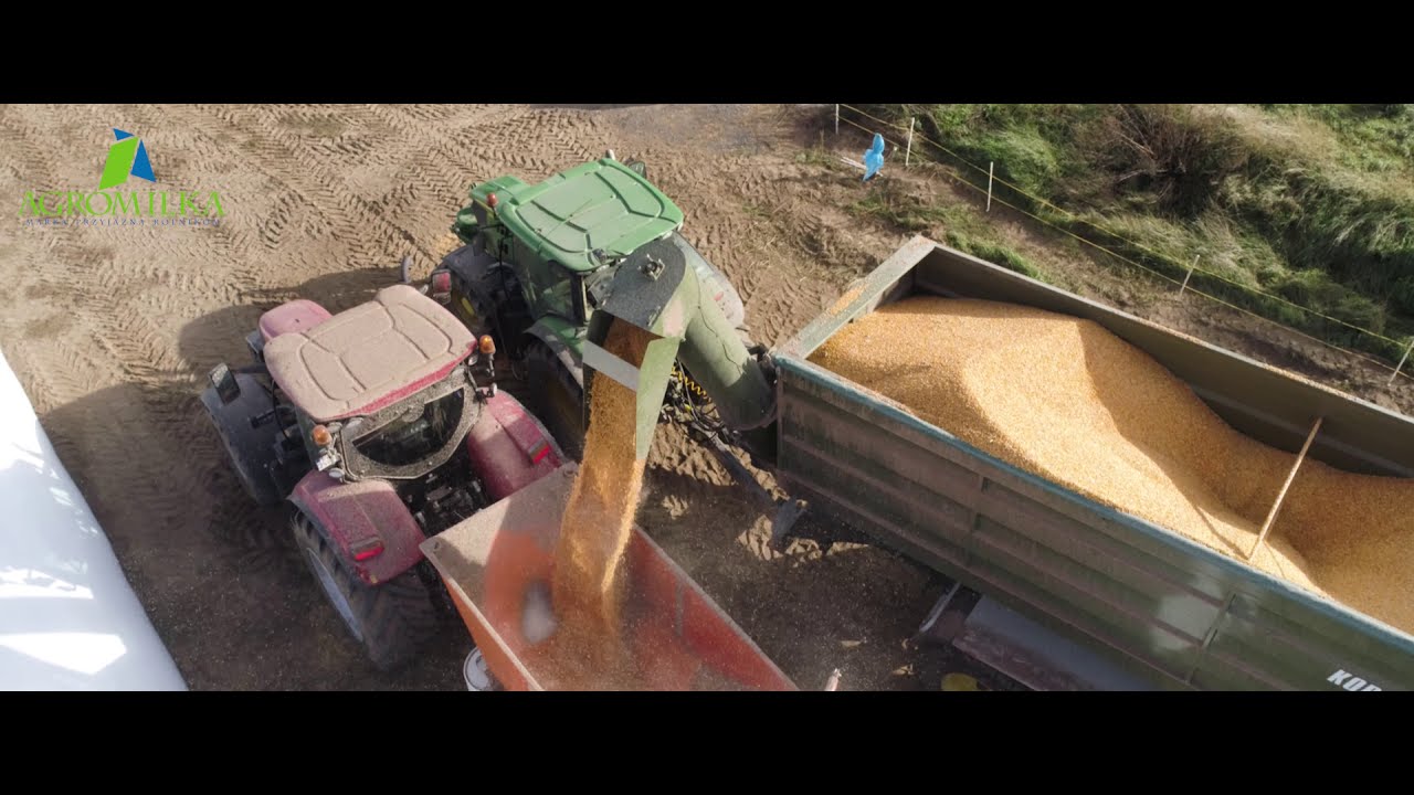 Przyczepa przeładowcza Kobzarenko w fermie jaj - skróciła czas pracy o połowę  - zobacz!
