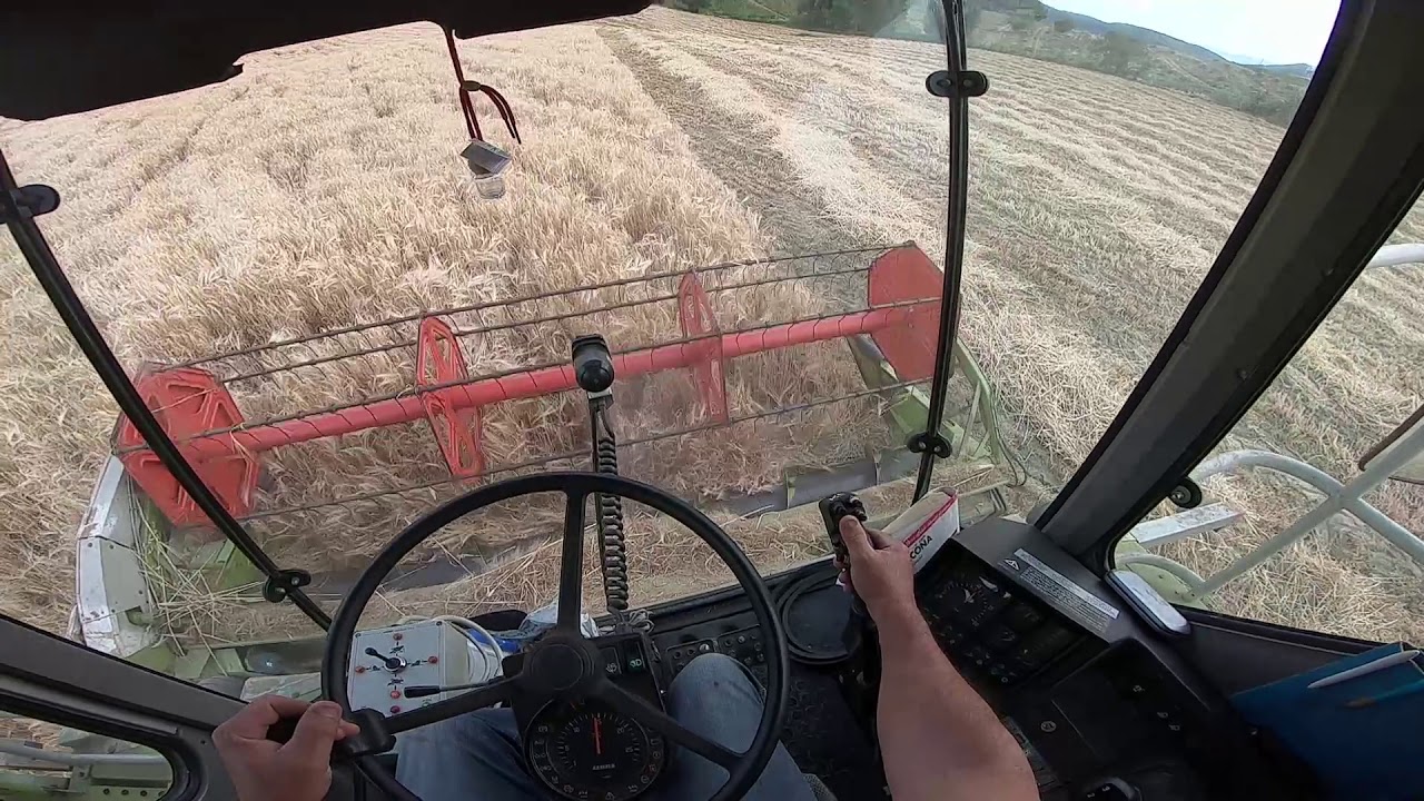 OnBoard View | Claas Dominator 78 H | Trebbiatura 2019