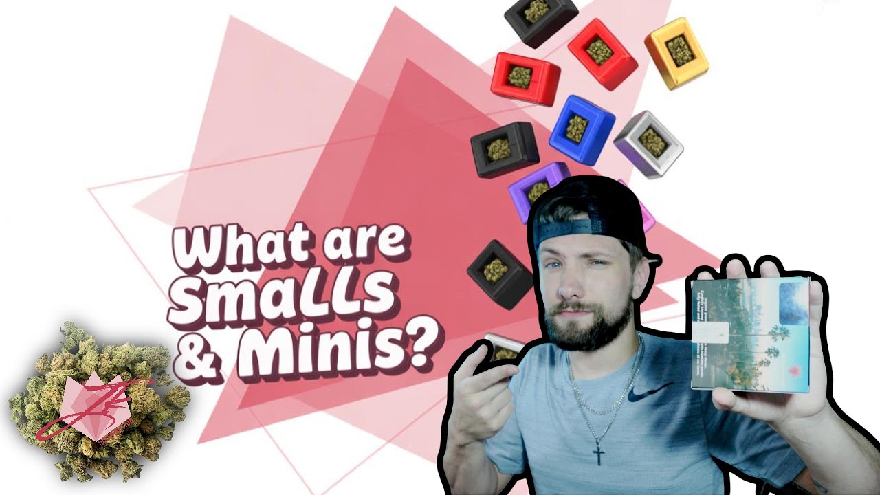 WHAT EXACTLY ARE SMALLS & MINIS? JK Distro HashBurger