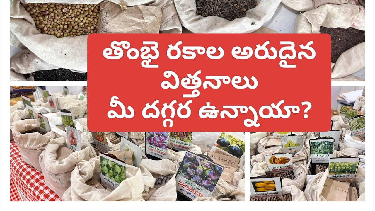 90 తొంభై రకాల కూరగాయలు మరియు వాటి విత్తనాలు #సీడ్స్