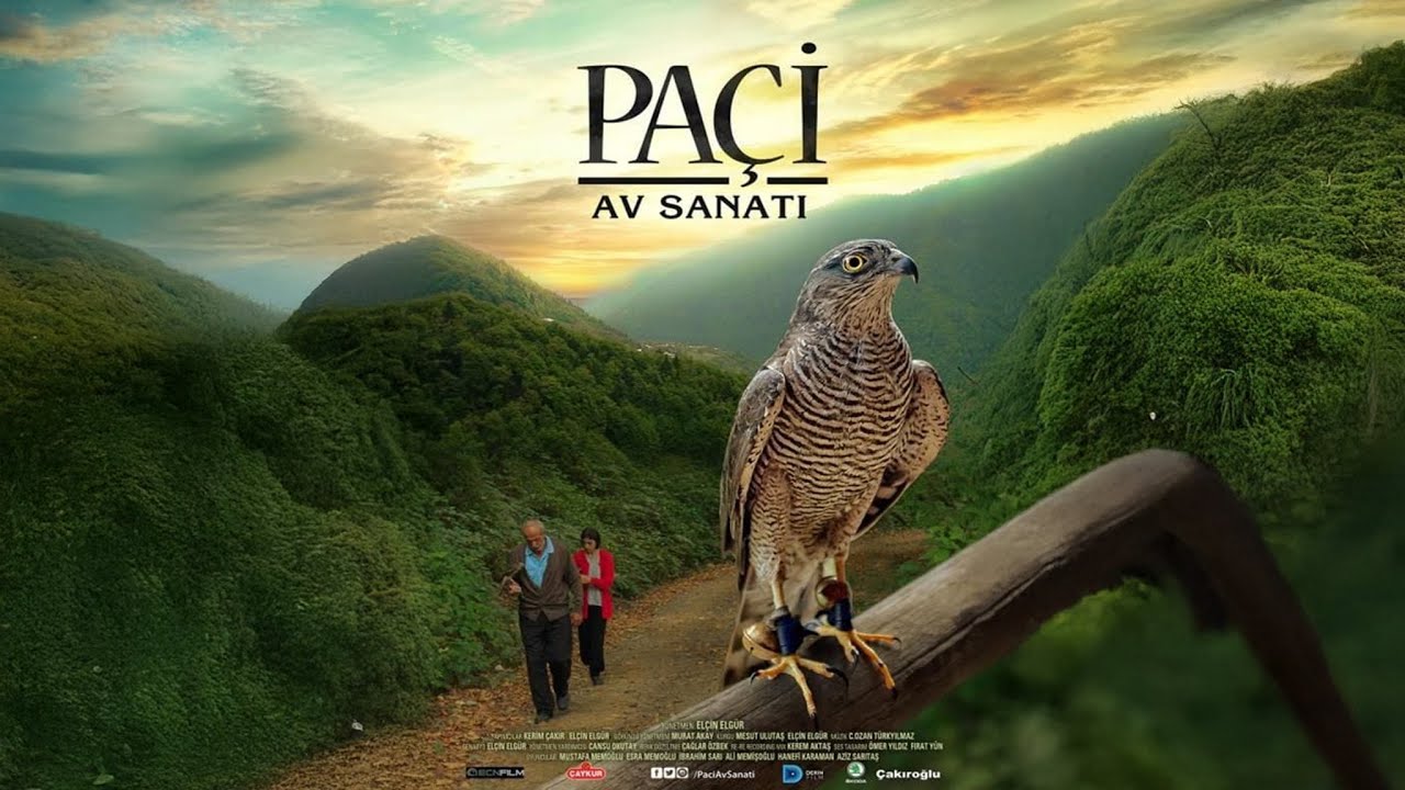 Pa&ccedil;i Av Sanatı/ Pa&ccedil;i The Art of Hunting | ECN Film 2016