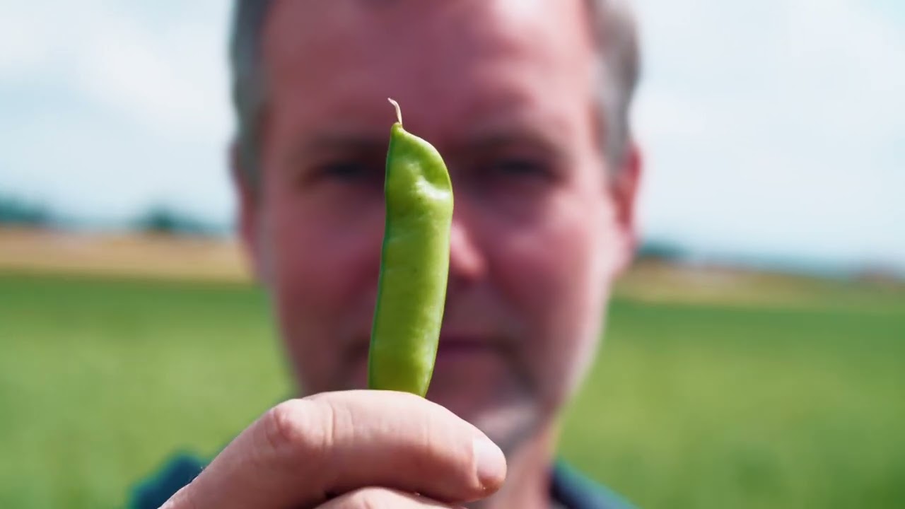 Het Nieuwe Nassen - Nieuwe Gewassen - E03  Mike