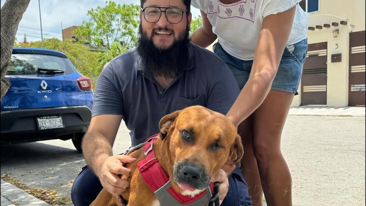 ¿Conoces la historia de Jefazo? 🐶😎