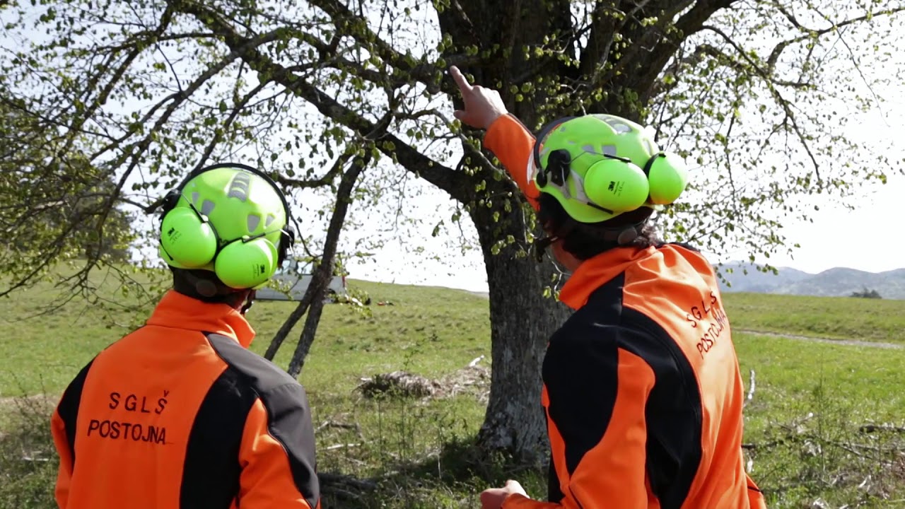 SGL&Scaron; Postojna SAFE CLIMBING Arboristika