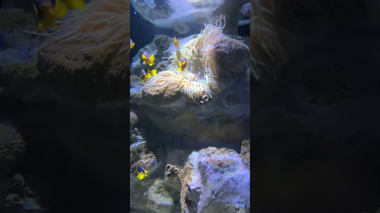 #finding