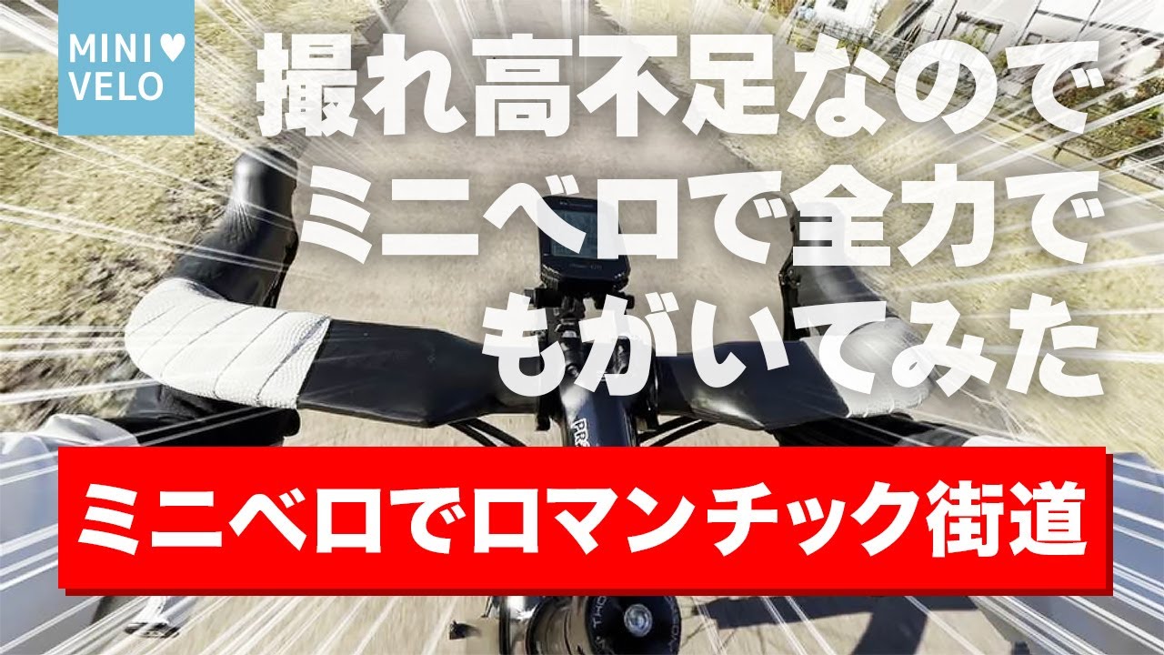 【サイクリング】ミニベロTern SURGEで犬山城から岐阜県坂祝町にある日本ラインロマンチック街道までゆるポタ！でも、撮れ高不足だったので普段しない全力走をやってみた！時速何キロでたのか！？