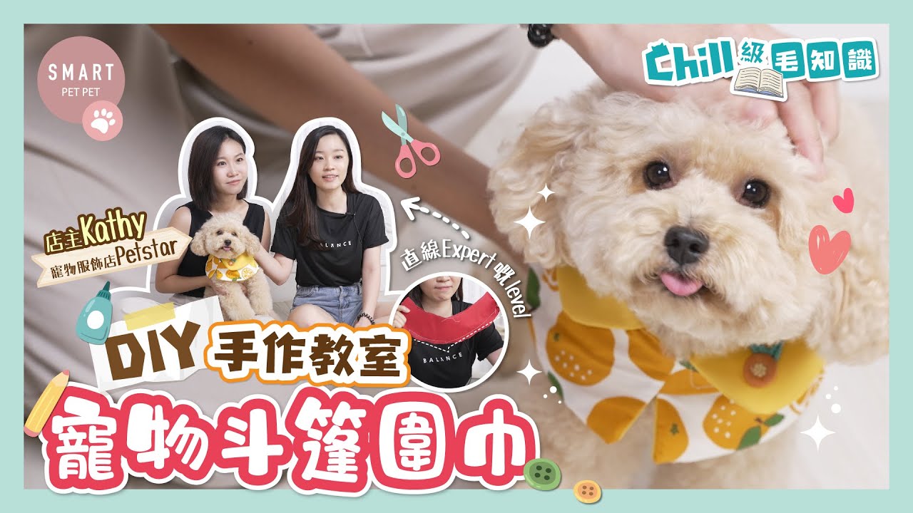 【#DIY手作教室】10分鐘寵物斗篷圍巾大挑戰🧣內文仲有紙樣下載！