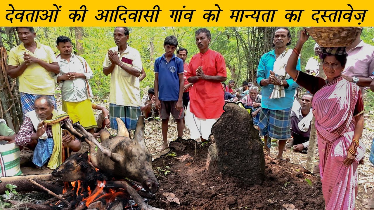 आदिवासी गांव को देवताओं और पुरखों से मान्यता कैसे मिलती है | Bastar Tribal Hamlet Finds Its Identity