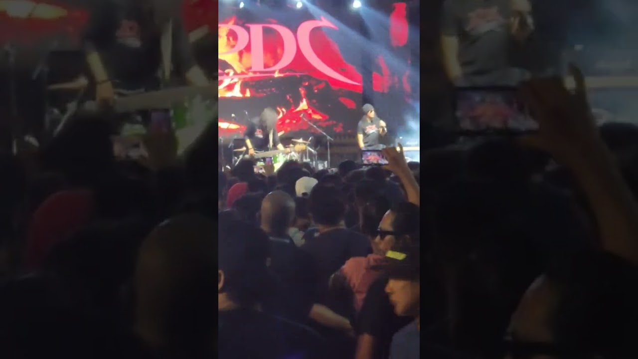 xpdc militia