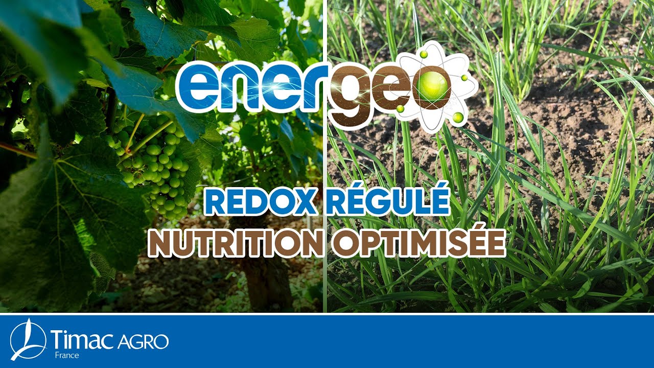 Energeo - Redox régulé Nutrition optimisée