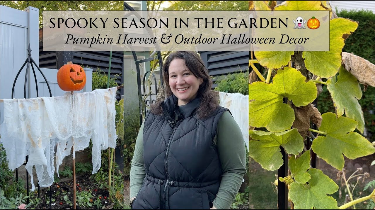 Осенние садовые проекты 🍂🎃 Сбор тыквы, сушка трав и декор на Хэллоуин | ПРИПРАВЬТЕ И ПОДАВАЙТЕ