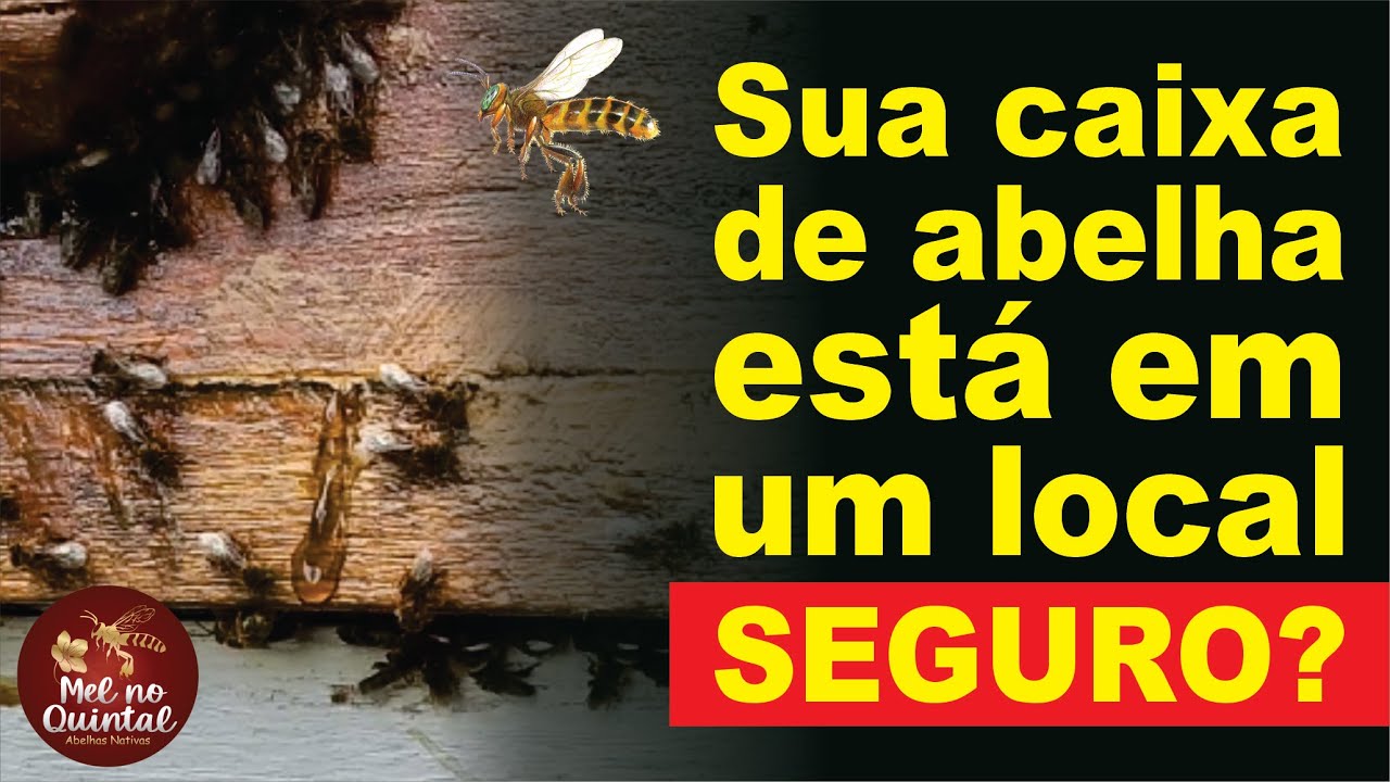 Muito CUIDADO com caixas no sol!