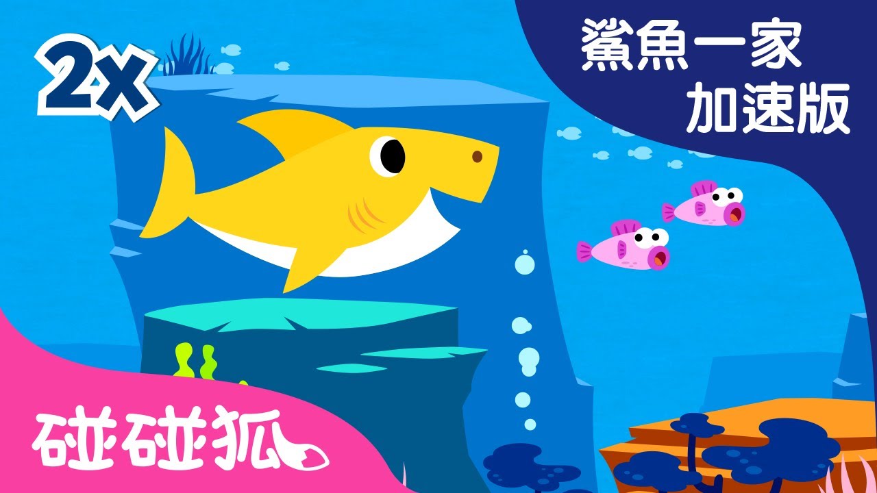 鯊魚一家加速版 | 鯊魚舞 | 鯊魚一家 | 碰碰狐！兒童兒歌