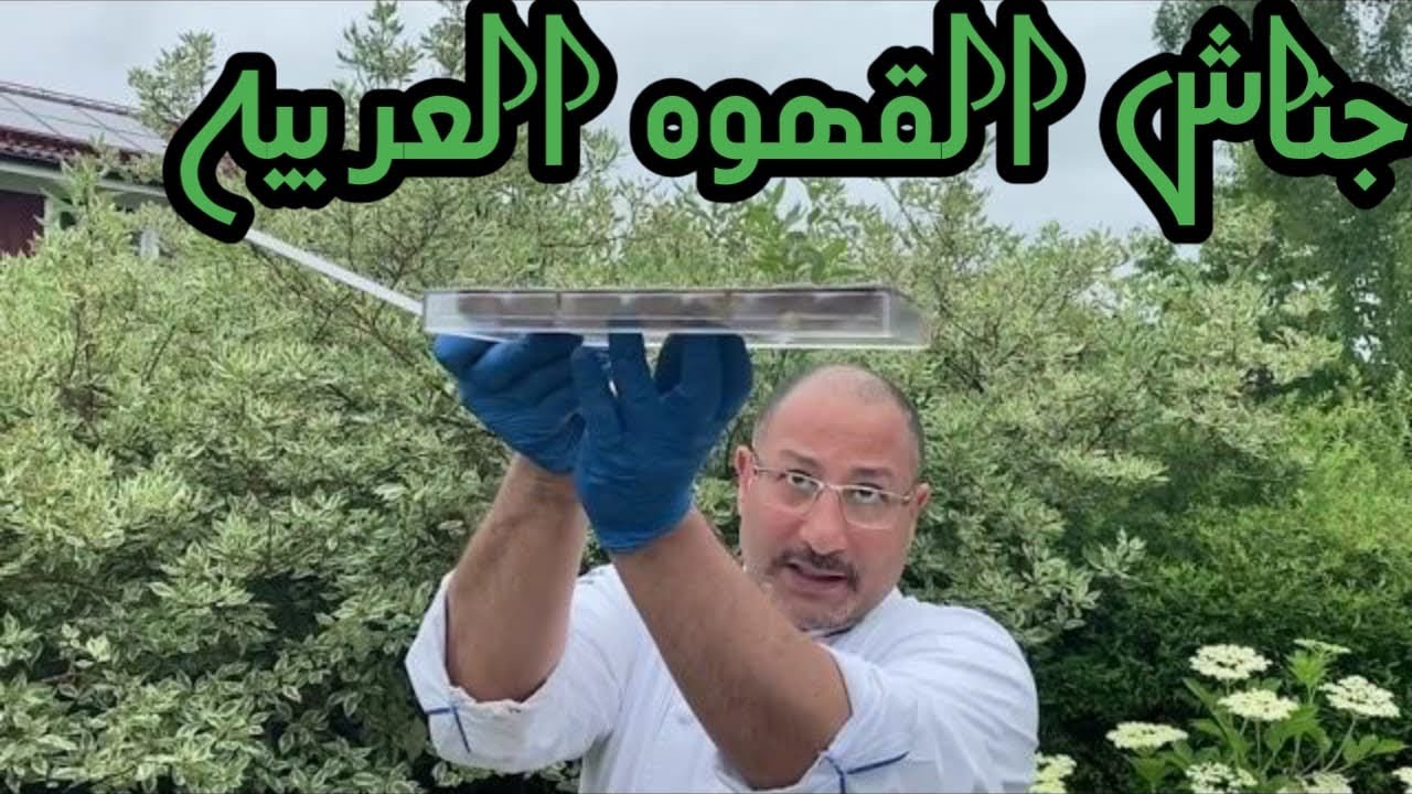 جناش القهوه الطبيعى بونبون | Coffee Ganache