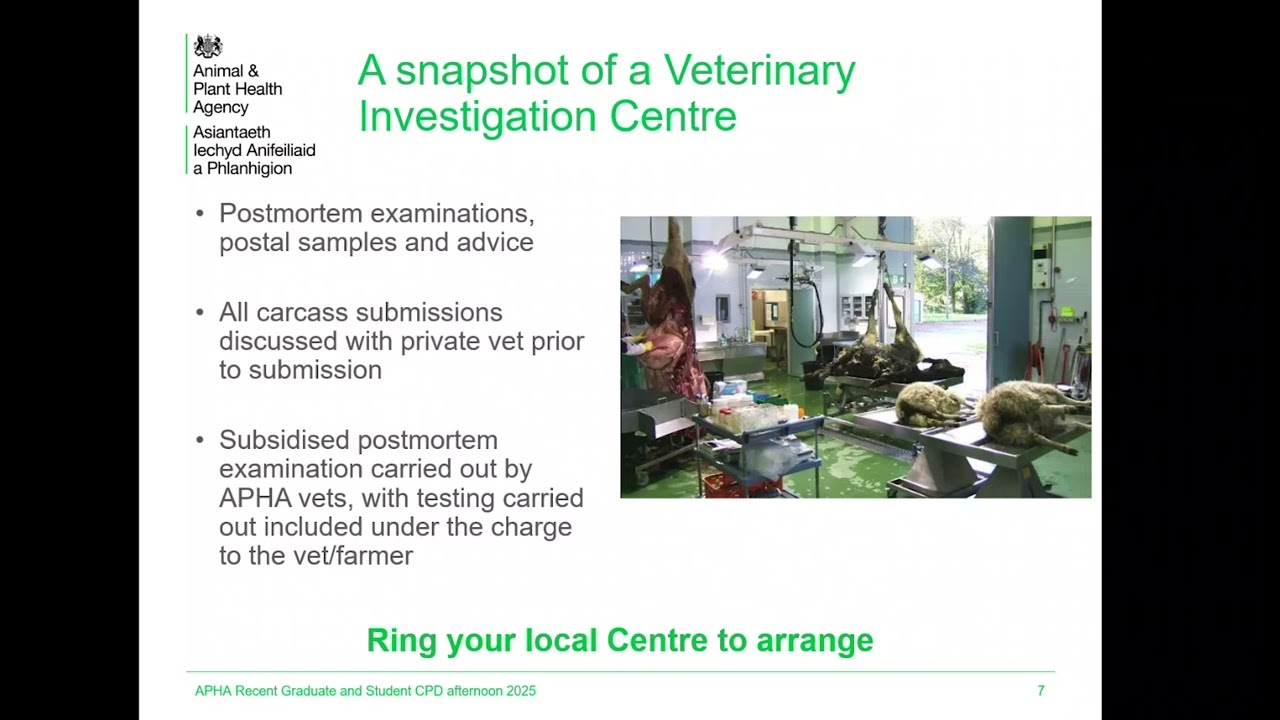 Recent vet graduate and student CPD event – 2025