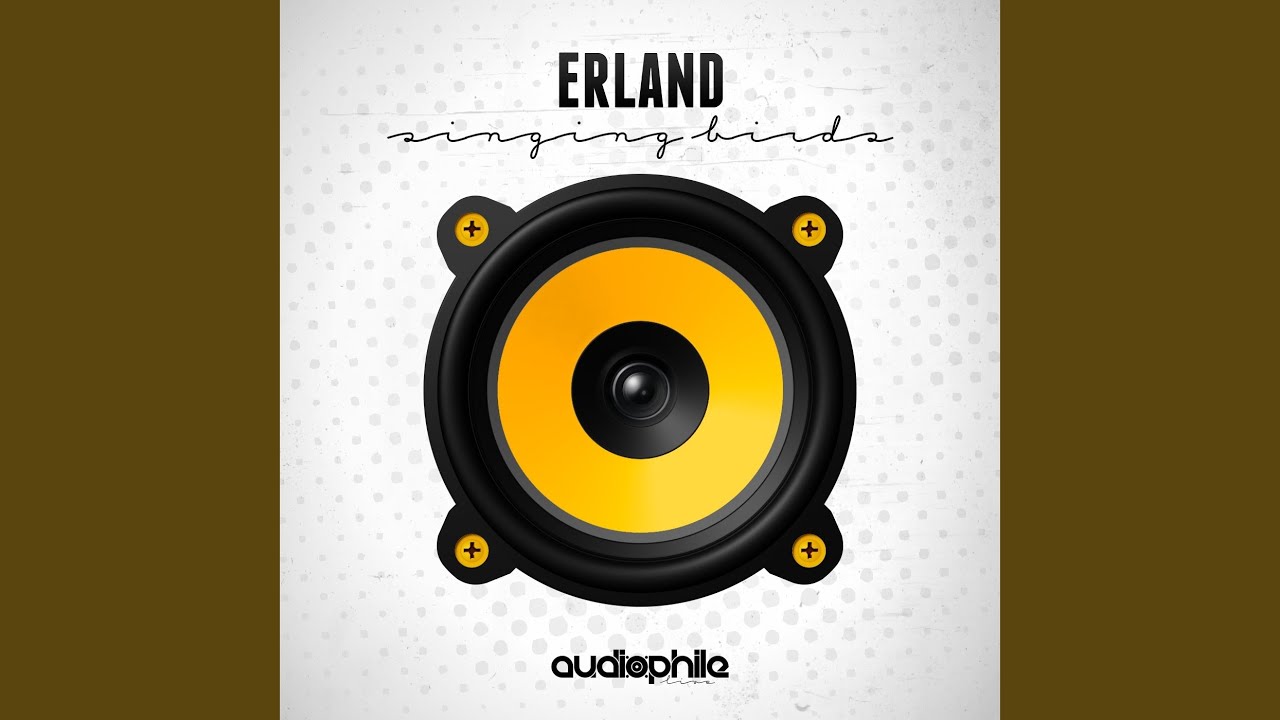 Singing Birds (Original Mix)