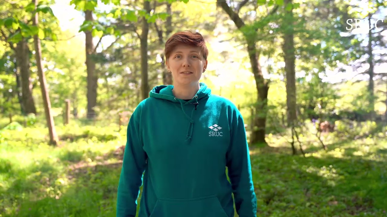 Forest and Outdoor Learning at SRUC Barony