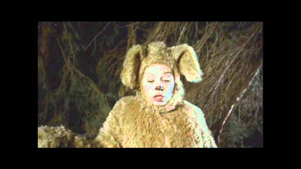 Wilfred Funniest Scene