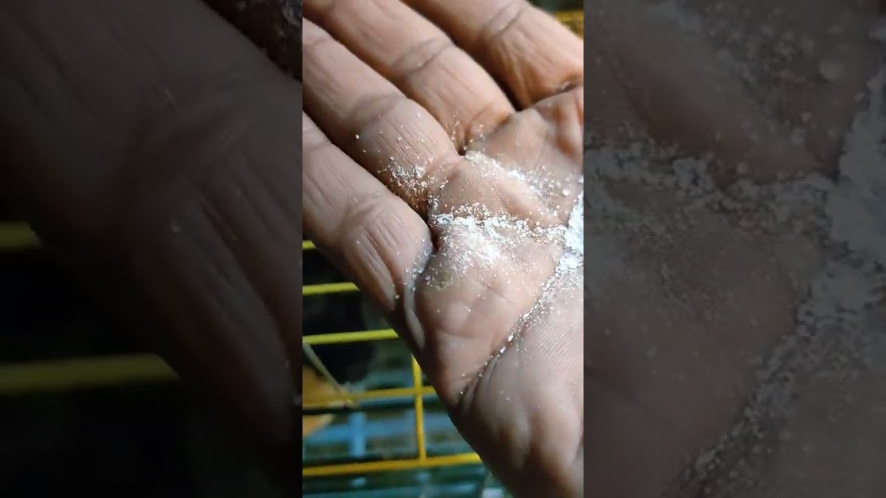 لو الارنبة ولدت وخلفتها ماتت نعمل لها نعى وعزاء ولا نعمل ايه