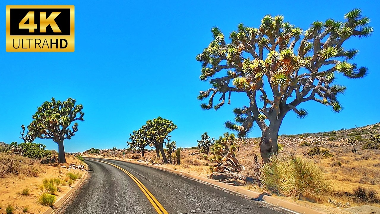 Joshua Tree’s Most Breathtaking Scenic Drive EVER | 4K California Desert Driving Adventure