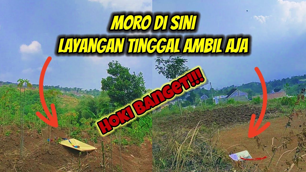 HOKI BANGET!!! MORO LAYANGAN BESAR SEGAMPANG INI | Hobi Om