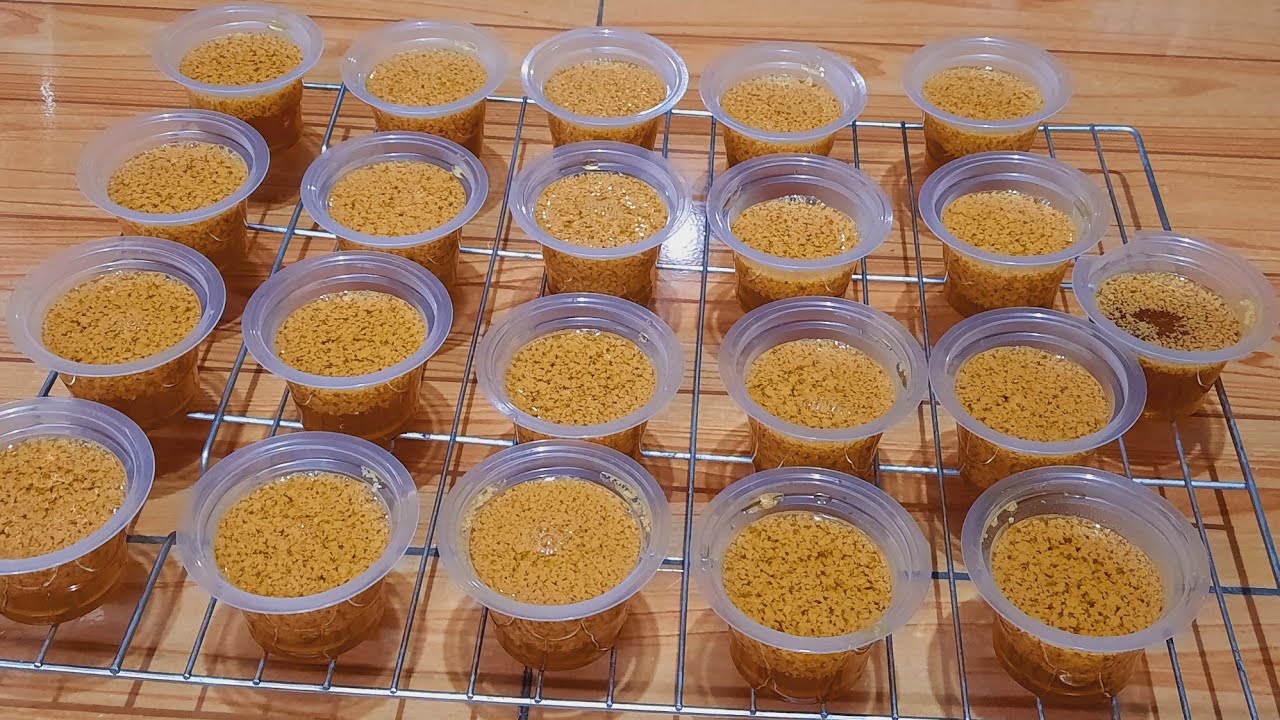 PUDING LUMUT GULA MERAH | BISA JADI IDE JUALAN|RESEP PUDING MUDAH DAN SIMPEL