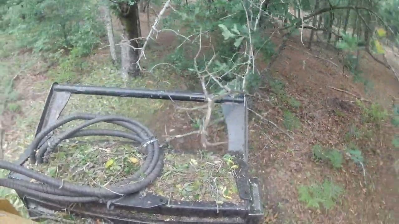 22' CAT 289d3 w/gyrotrac 400hl - destroying brush/small trees