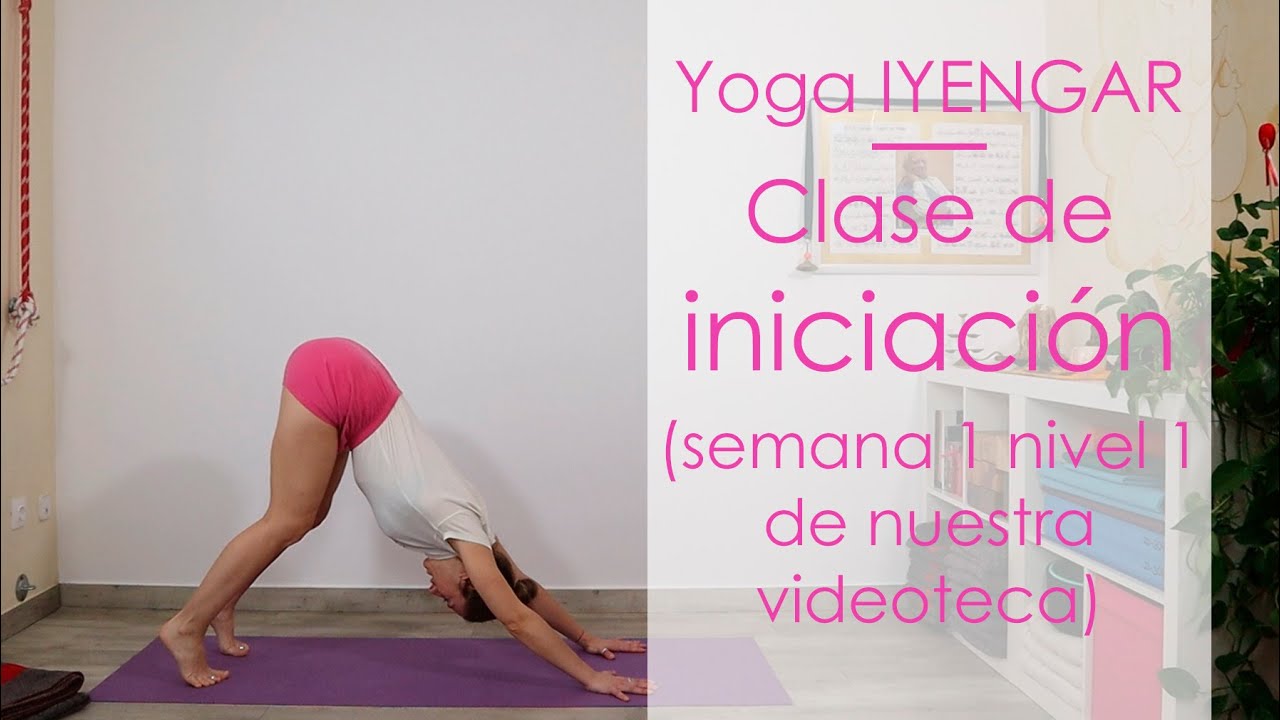 Yoga para principiantes: *Clase de iniciación al yoga Iyengar®*
