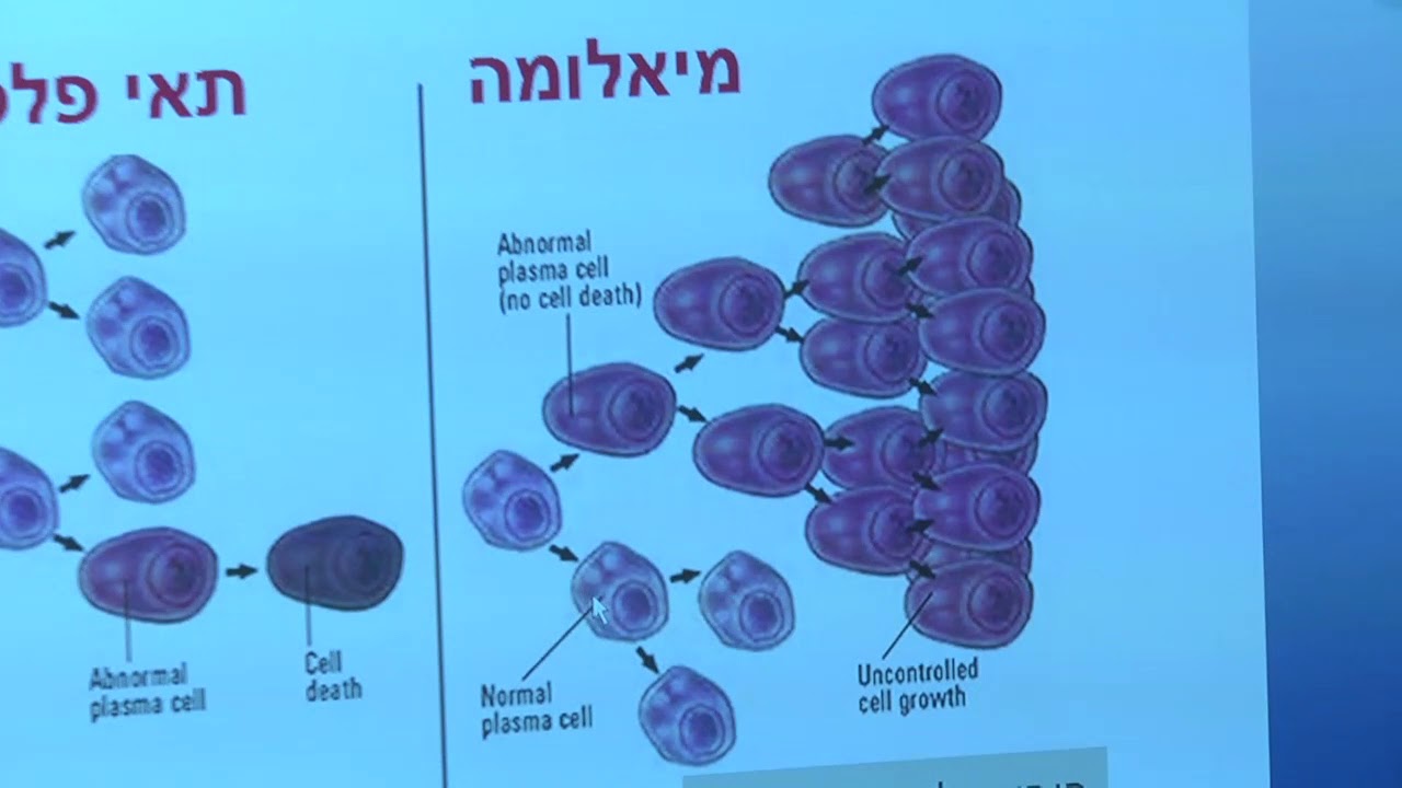מהי מיאלומה המסלול מביולוגיה לקליניקה - ד