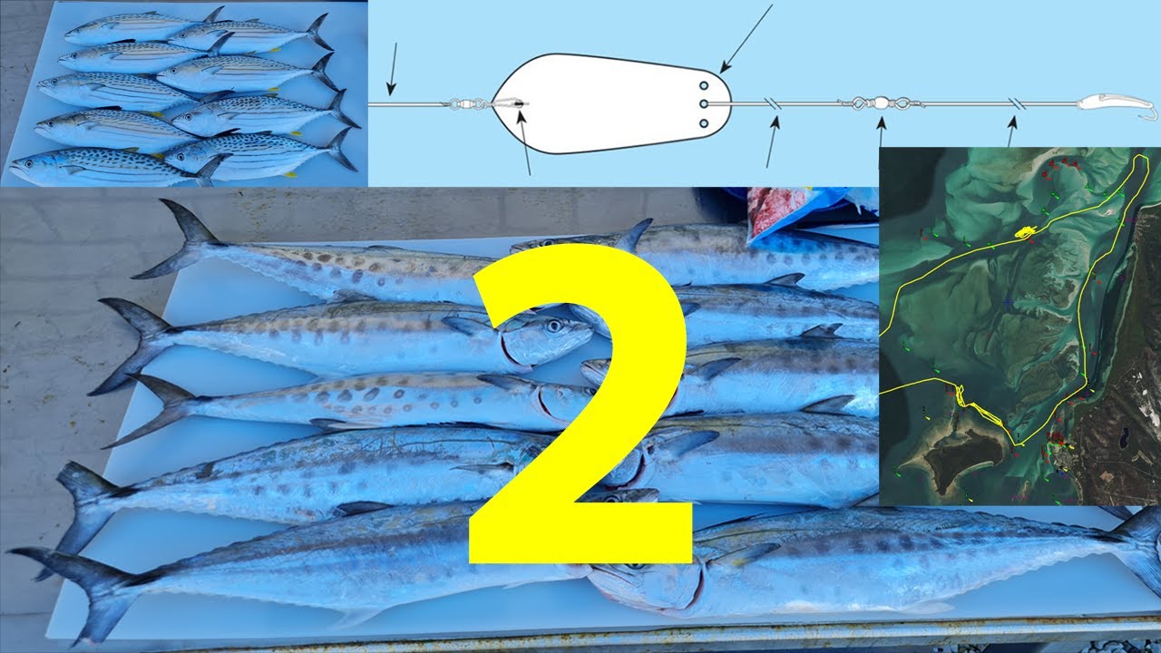 Unlocking the Secret to Moreton Bay Mackerel Trolling - Part 2!