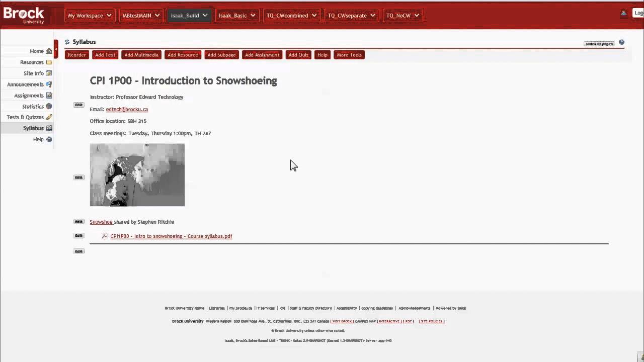 The Lessons tool: creating an interactive syllabus