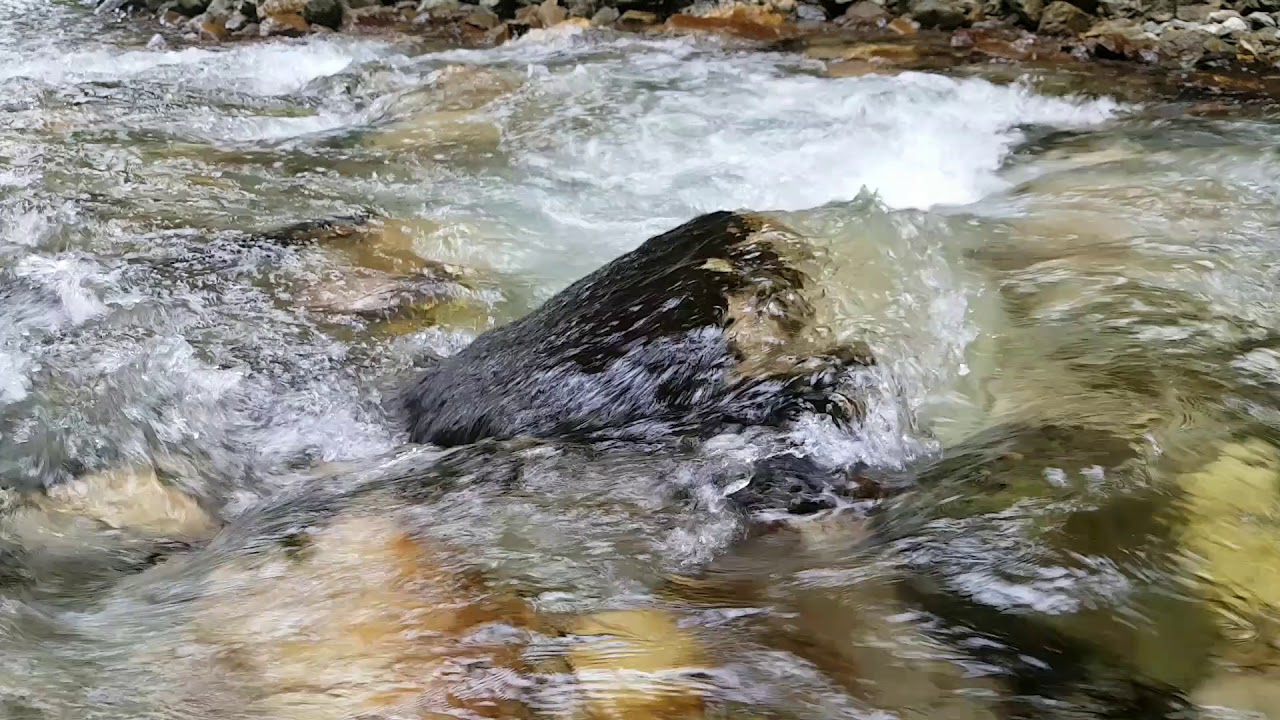 Cheile Buții