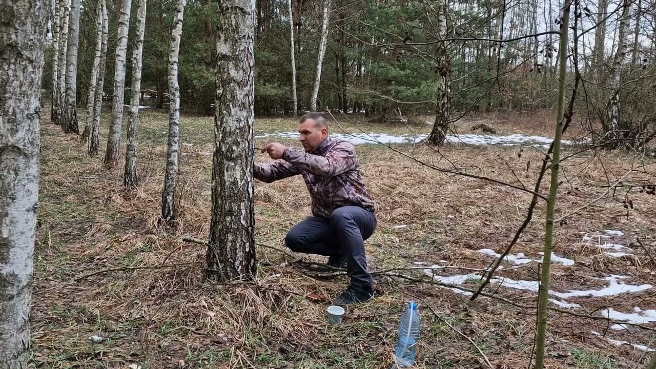 SOK Z BRZOZY- JAK PRZECHOWYWAĆ?