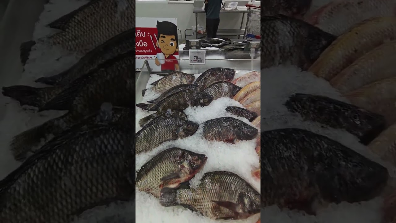 Супермаркет Makro в Паттайї. Найдешевші ціни на продукти в Таїланді. Я і Паттайя. 