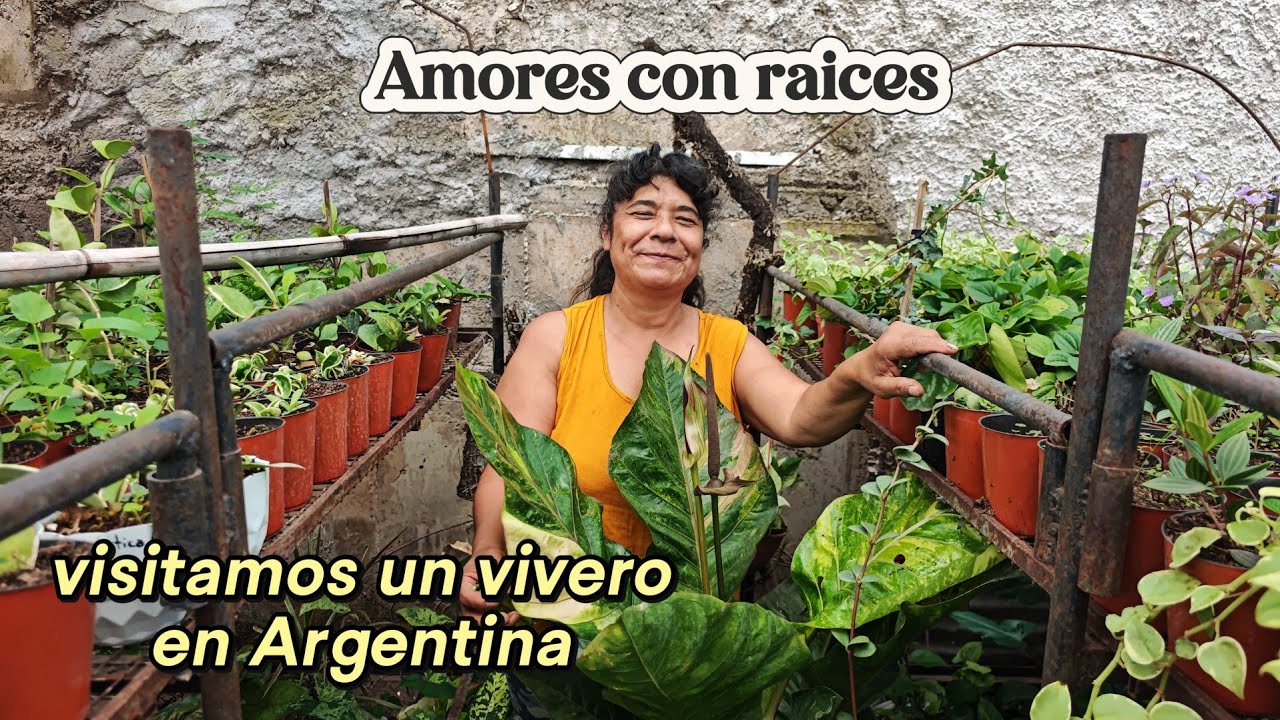 Visitamos un vivero en Argentina -Jujuy 