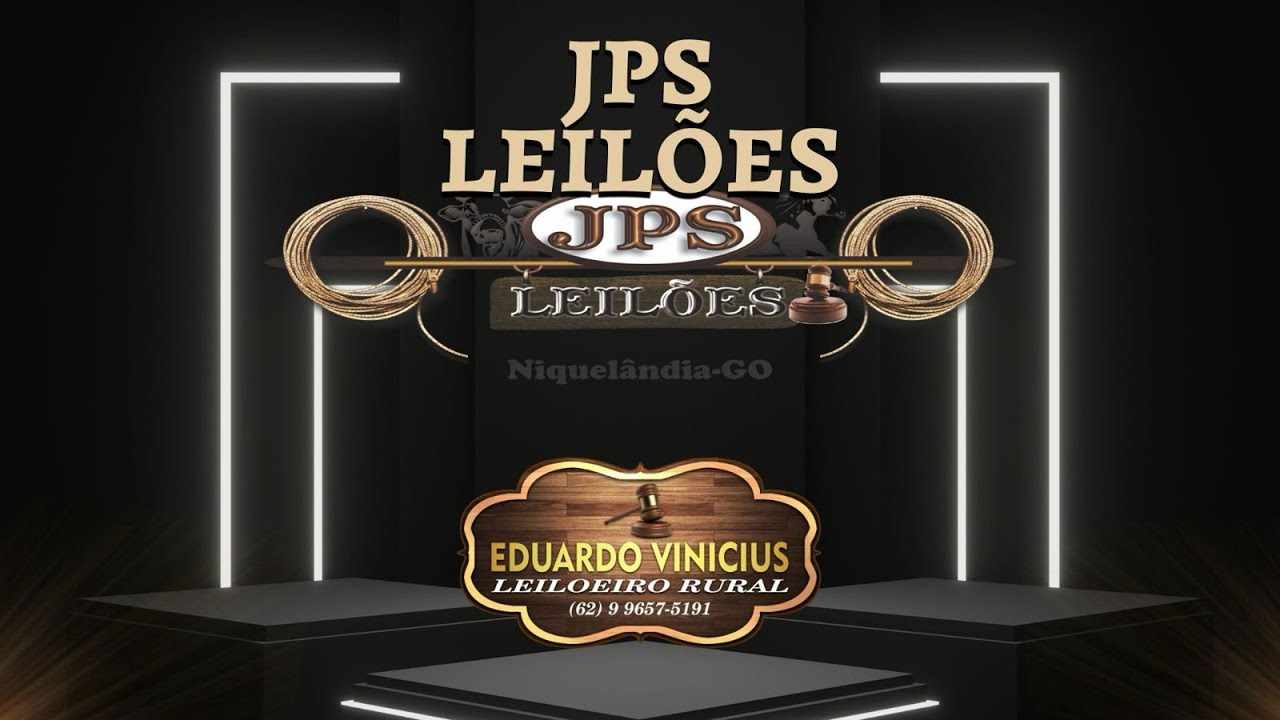 JPS LEILÕES - NIQUELÂNDIA - GO - 24/02/2026