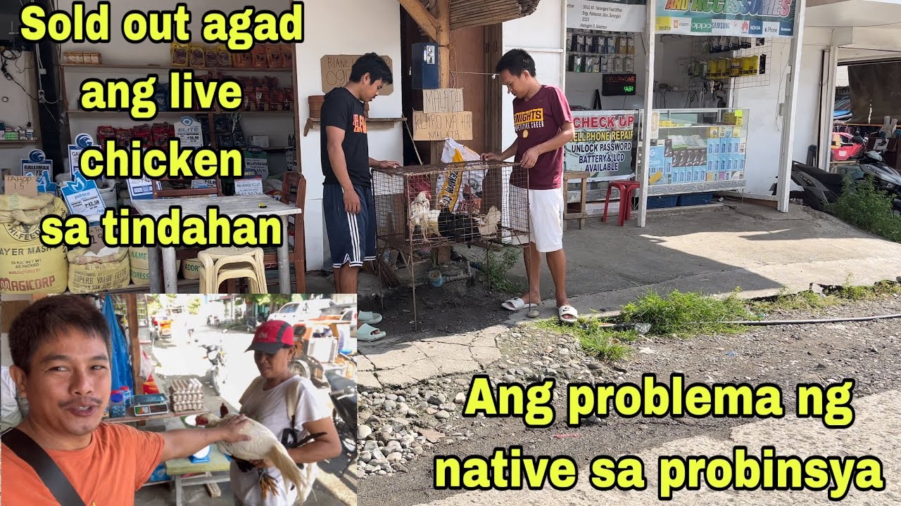 SOLD OUT AGAD ANG LIVE CHICKEN SA TINDAHAN | ANG PROBLEMA SA NATIVE CHICKEN SA PROBINSYA