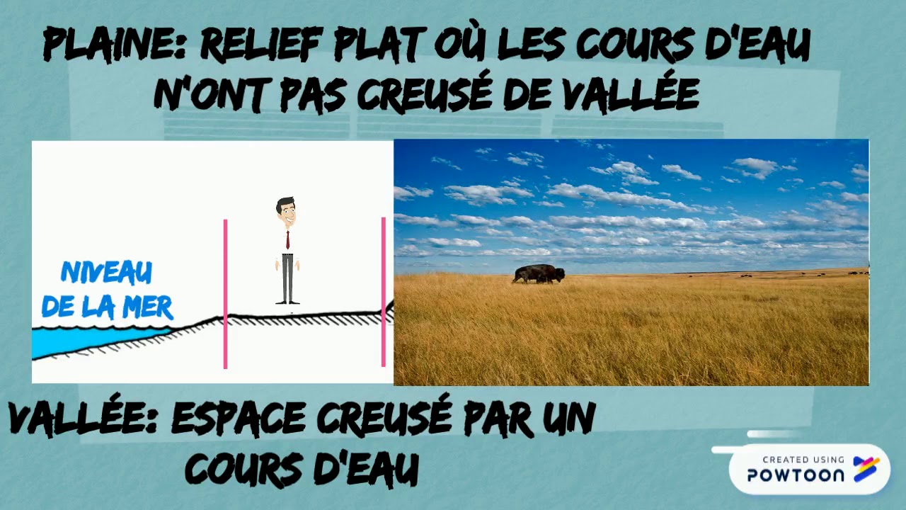 Reliefs