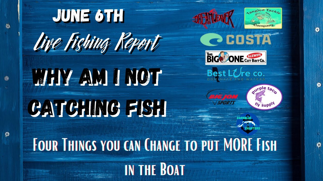 Why am I not Catching More Fish / Four Reasons you may not be Putting More Fish in the Boat