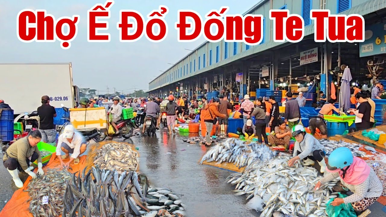 Chợ Bình Điền sáng nay Hải sản đổ đống ế te tua ngày 16 tháng 1, 2026