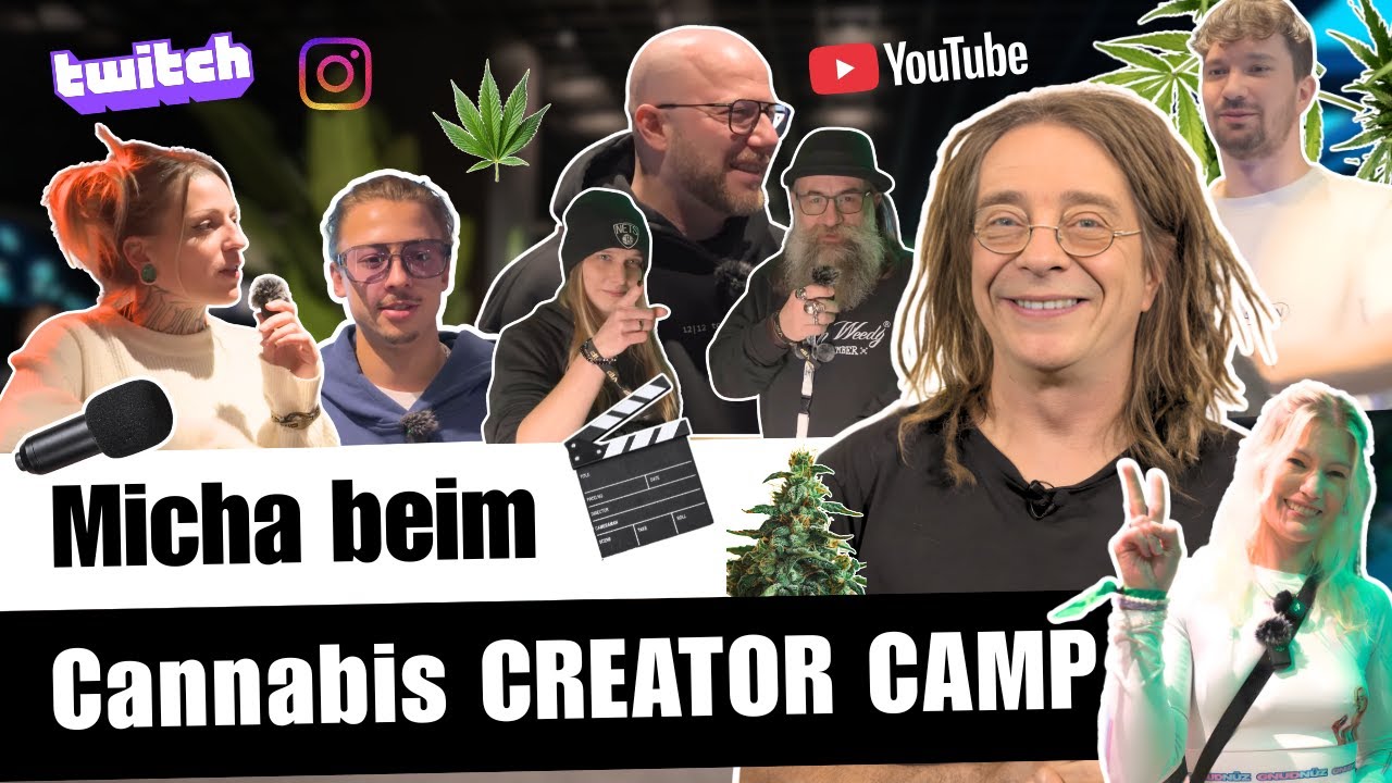 Cannabis Creator Camp 2025: 