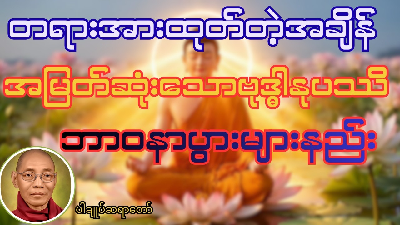 တရားအားထုတ်တဲ့အချိန် အမြတ်ဆုံးနဲ့အလွယ်ဆုံးဗုဒ္ဓါနုပဿိဘာဝနာပွားများနည်း#ပါချုပ် #တရားတော်များ #buddha
