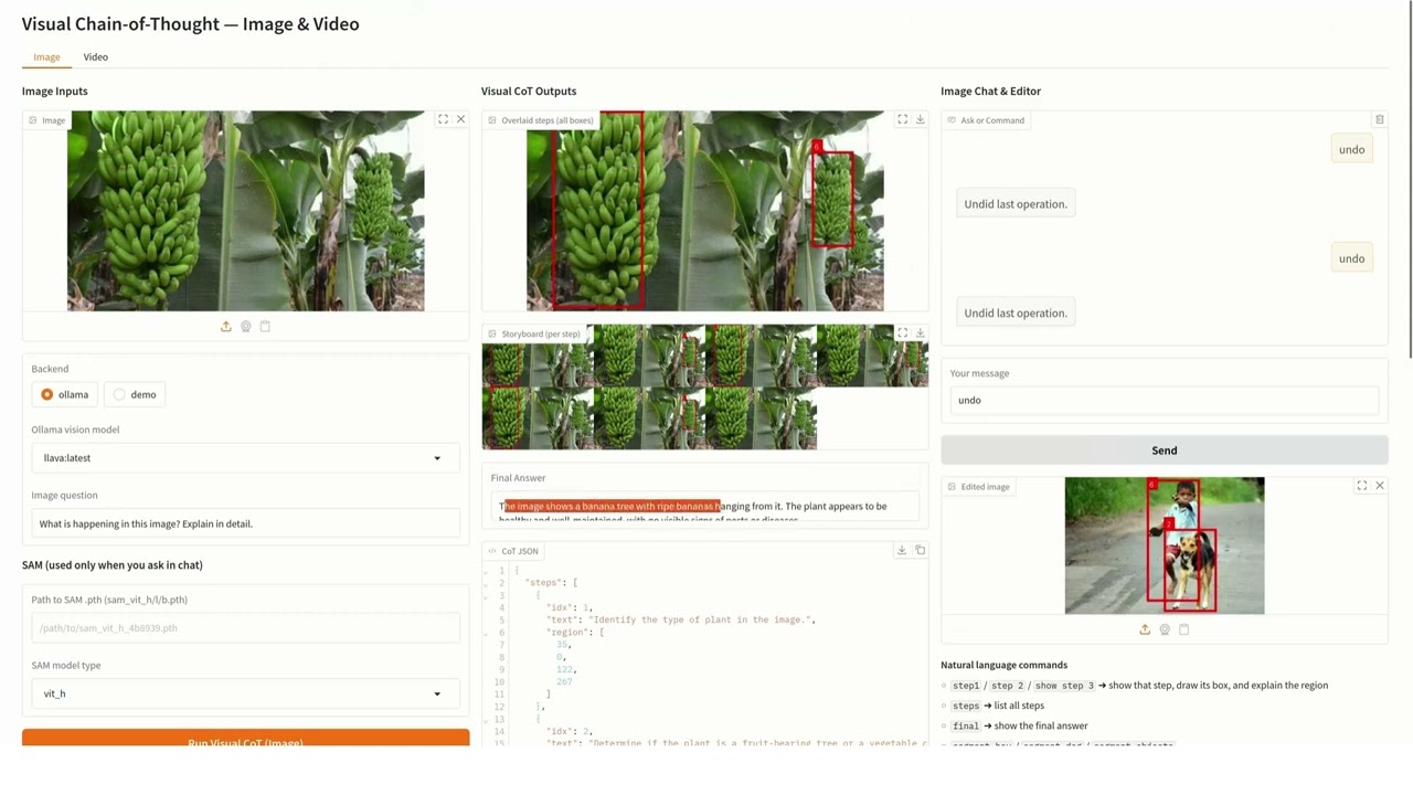 Visual Chain of Thought (V-COT) using VLM -  Demo