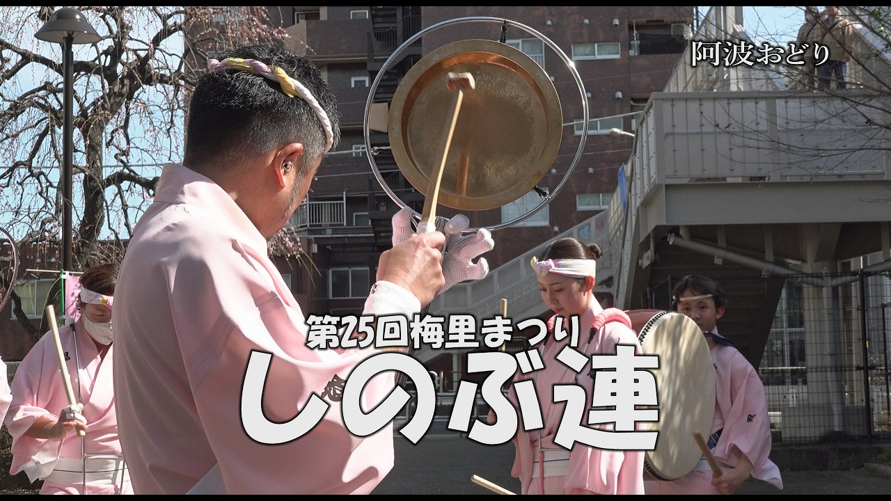 【ノーカット版】東京高円寺阿波おどり「しのぶ連」②  Awa Odori - 第25回梅里まつり（2026.2.28）