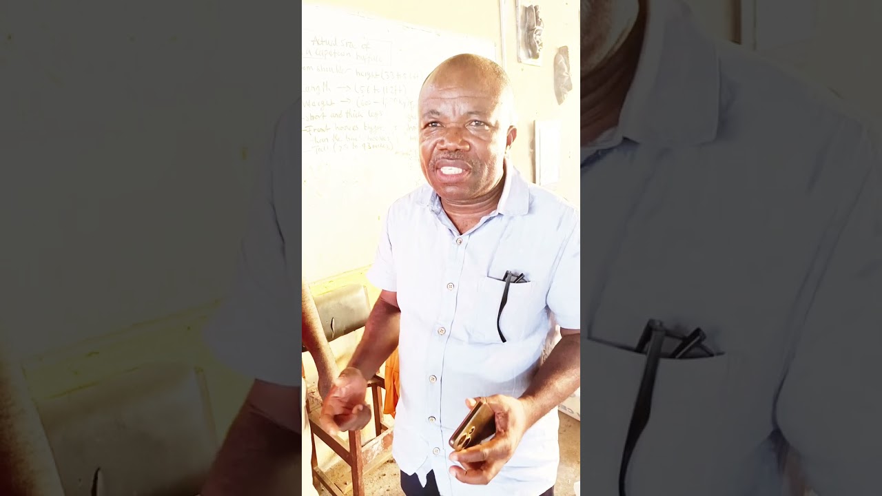 Explaining Some Igbo Signs and Symbols