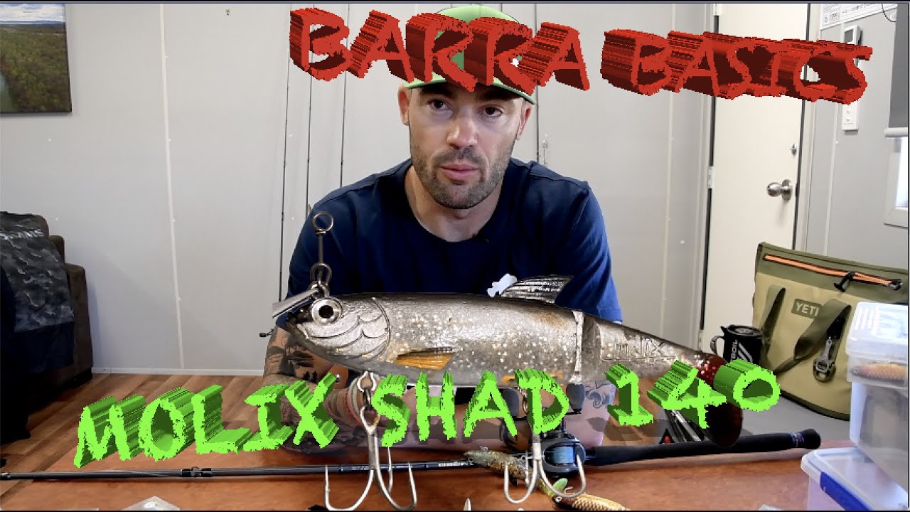 Barramundi fishing Basics - Molix Shad swimbait