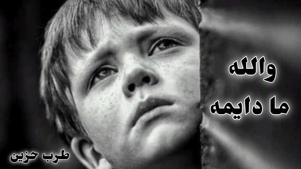صمخة اغاني مصرية | والله ما دايمه - استكانه طرب هجوله - مطلوب أكثر شيء #تيك_توك #music