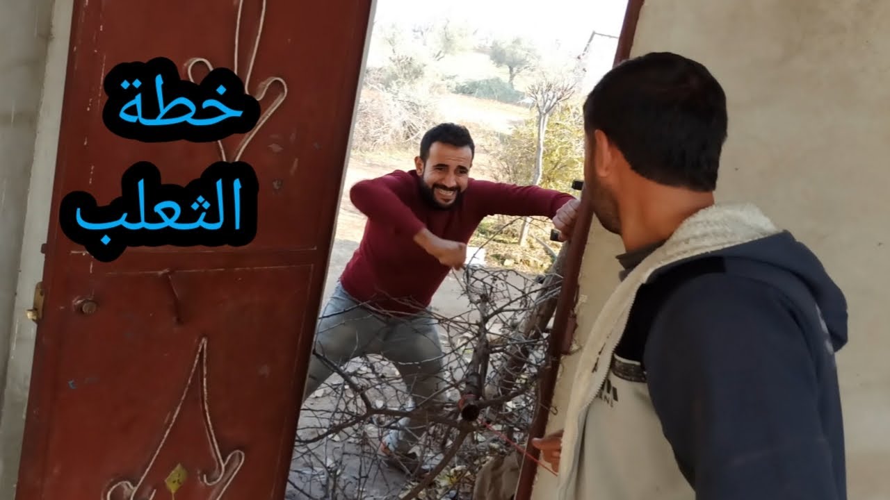 خالو شغل مخو واستخدم خطة الثعلب يا هيك الأفكار يا بلا 😲
